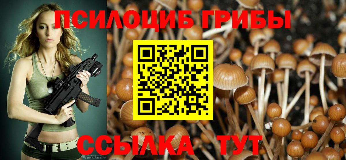 Псилоцибиновые грибы Psilocybine cubensis Ноябрьск