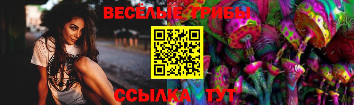 хочу   Псилоцибиновые грибы ЛСД  Вход с VPN  Ноябрьск 