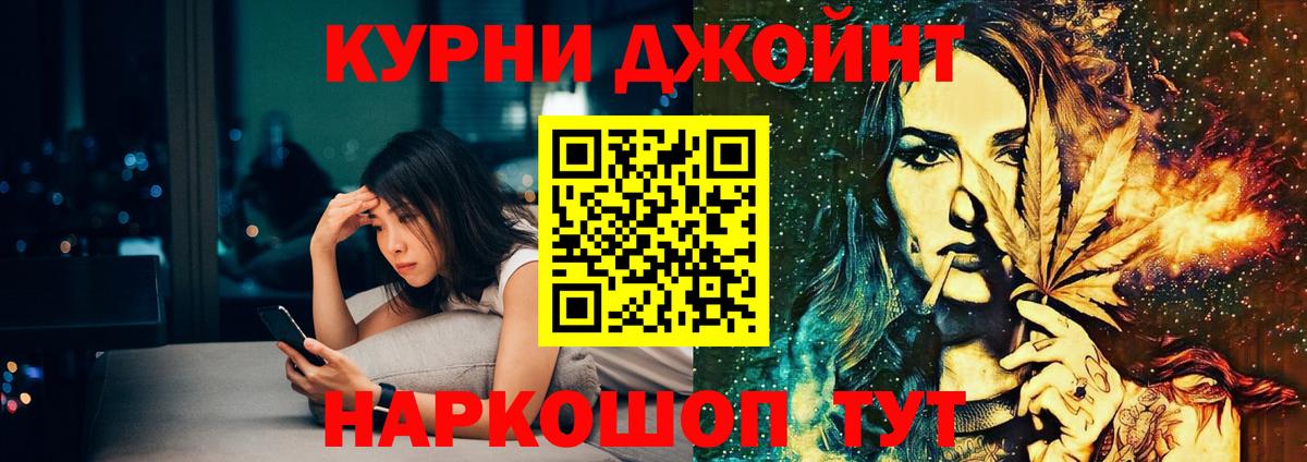 Бошки Шишки планчик Ноябрьск