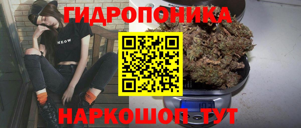 Бошки марихуана тримм  Вход с VPN  Ноябрьск  Каннабис планчик 